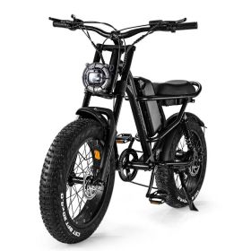 All Terrain Off Road Electric Bike Fat Tire Adult Electric Mountain Bike